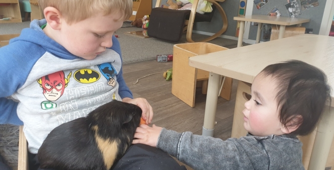 Looking after our friend's guinea pig