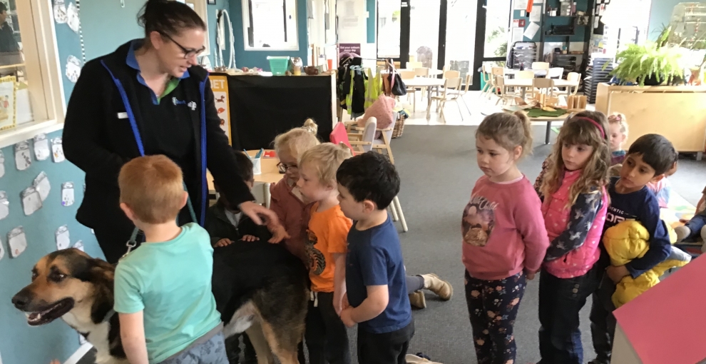 Our tamariki learn about dog safety!