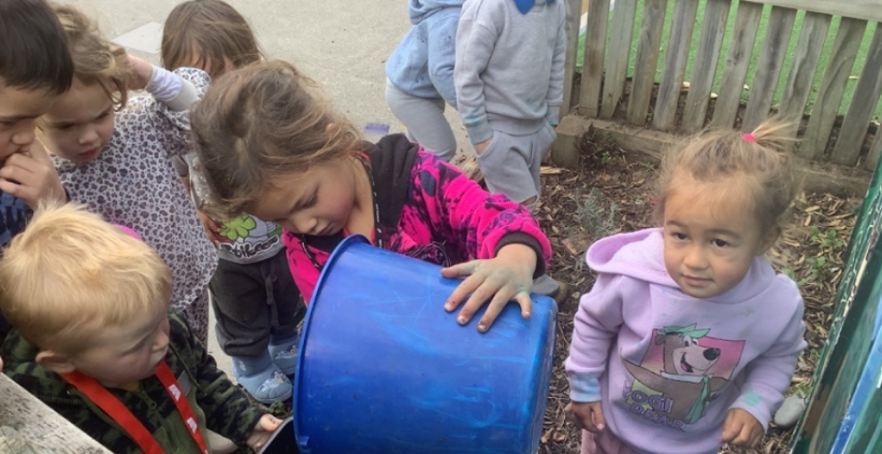 Composting worms for the worm farm