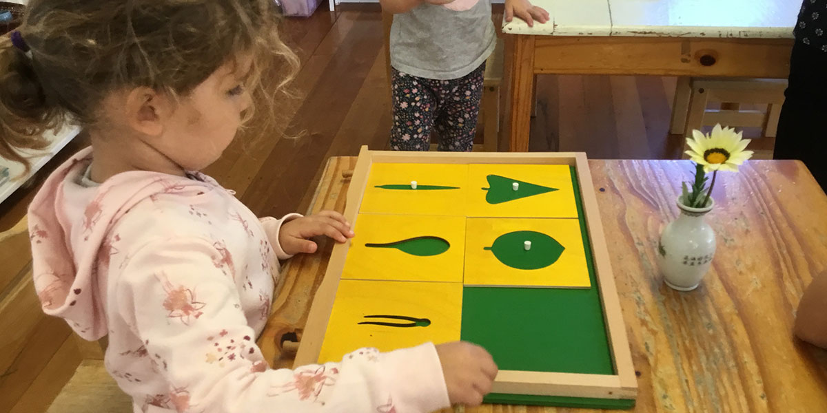 Otumoetai-childcare-yellowgreen