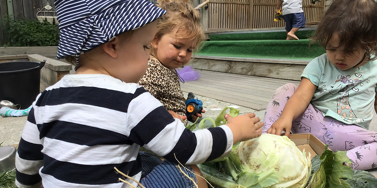 Mahora-childcare-cabbage