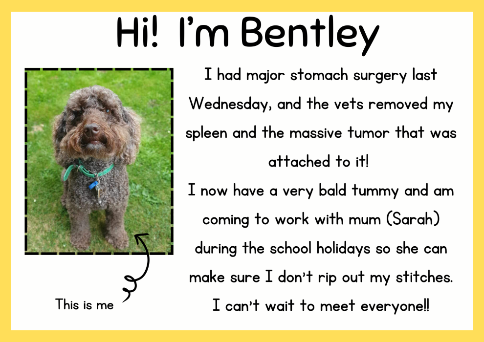 1728245451Bentley Medication.png