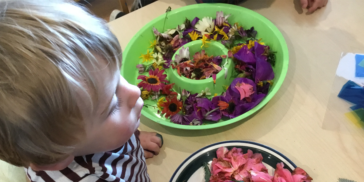 Waihi-daycare-flowers